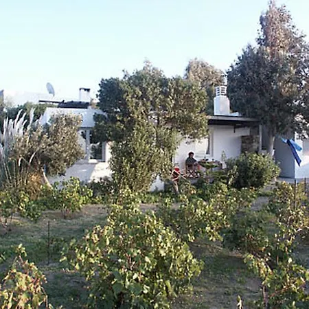Tsanakou Vineyard Glinado Semesterbostad Glinado Naxos