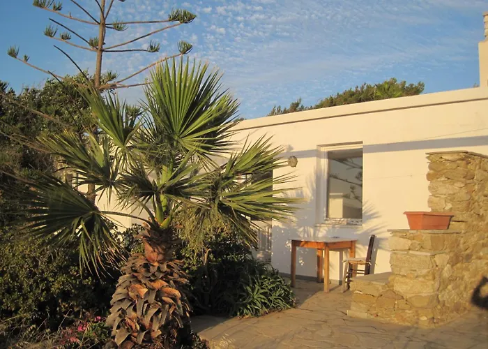 Tsanakou Vineyard Glinado Glinado Naxos